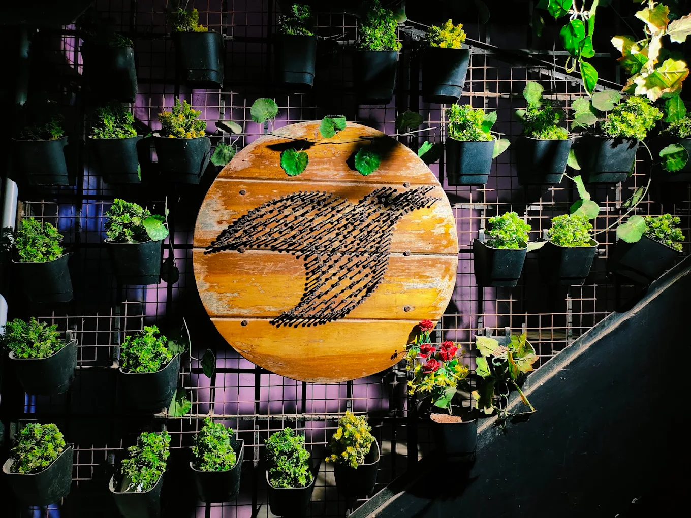 The Black Bird logo in nail-and-thread string art on a wooden disc, set into a wall of potted plants